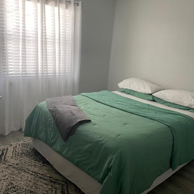 Modern Townhome タンパ エクステリア 写真
